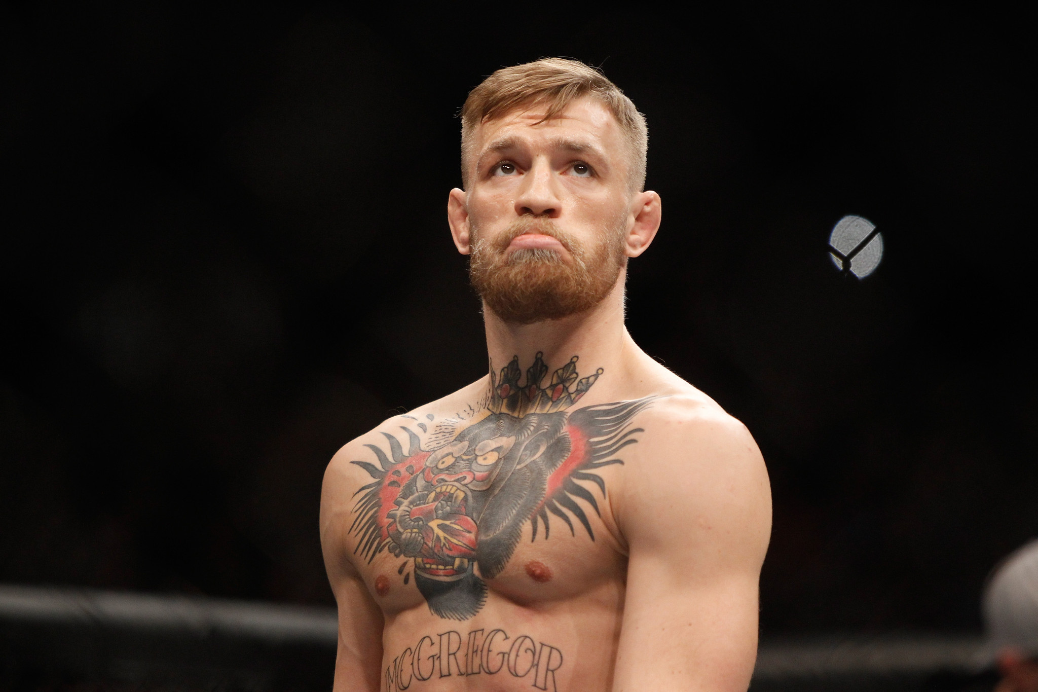 Conor McGregor HD Wallpapers Free Download in High Quality and Resolution