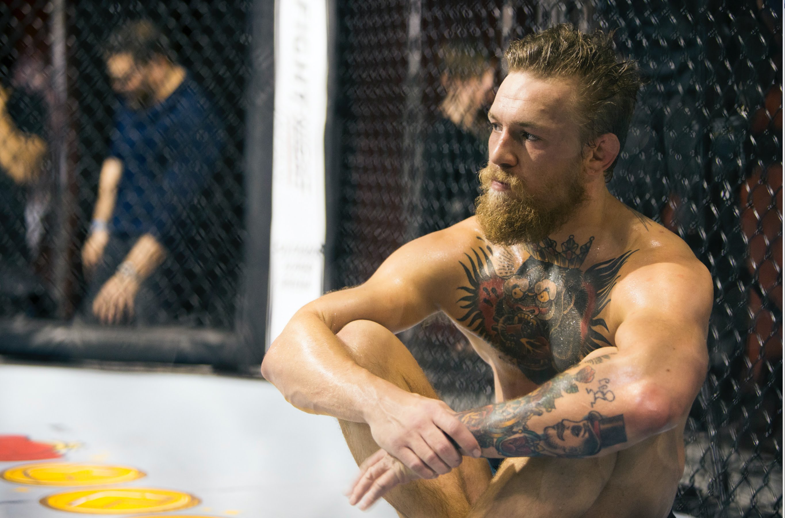 Conor McGregor HD Wallpapers Free Download In High Quality And Resolution