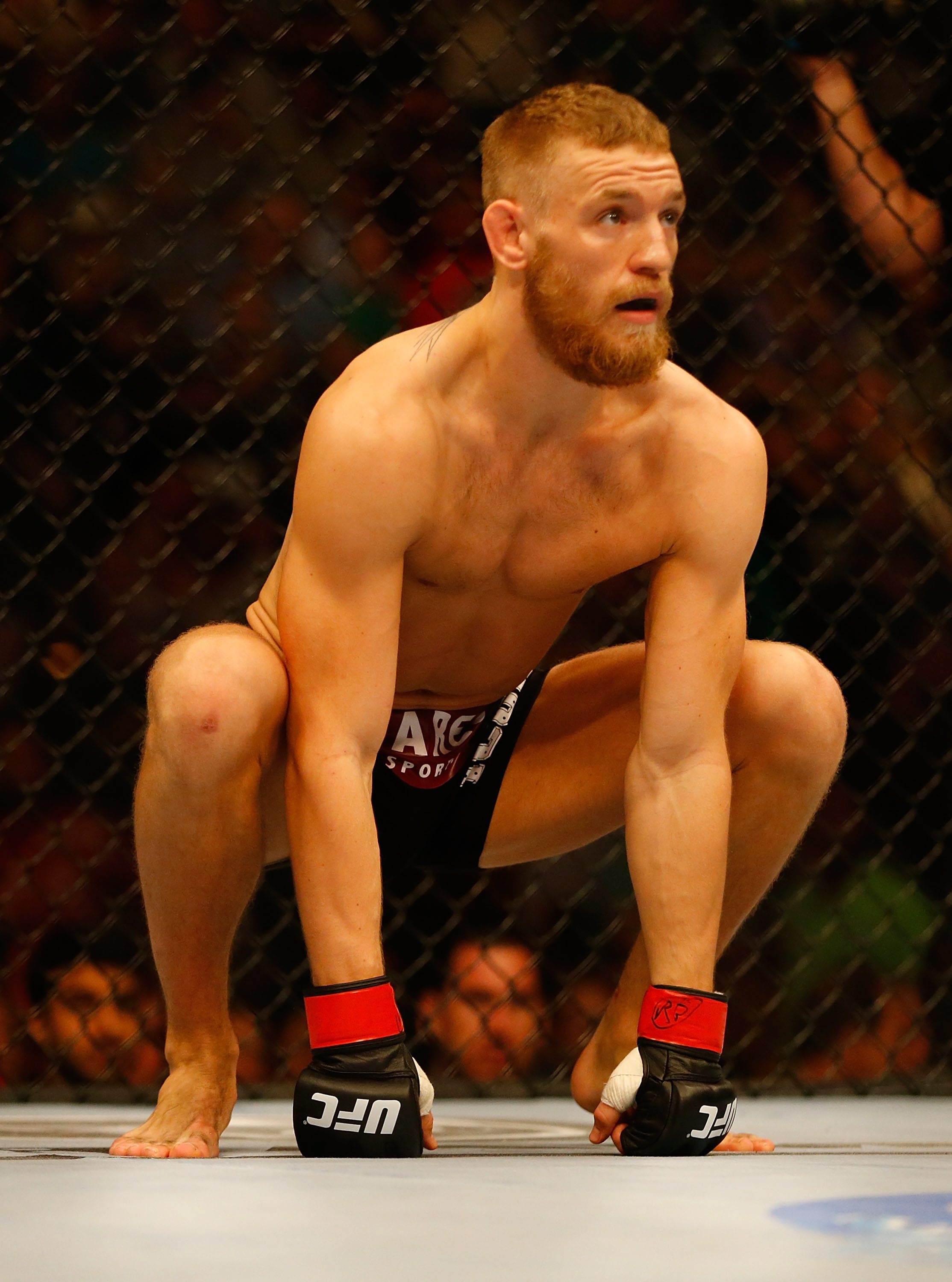 UFC Fight Night: McGregor vs Brandao