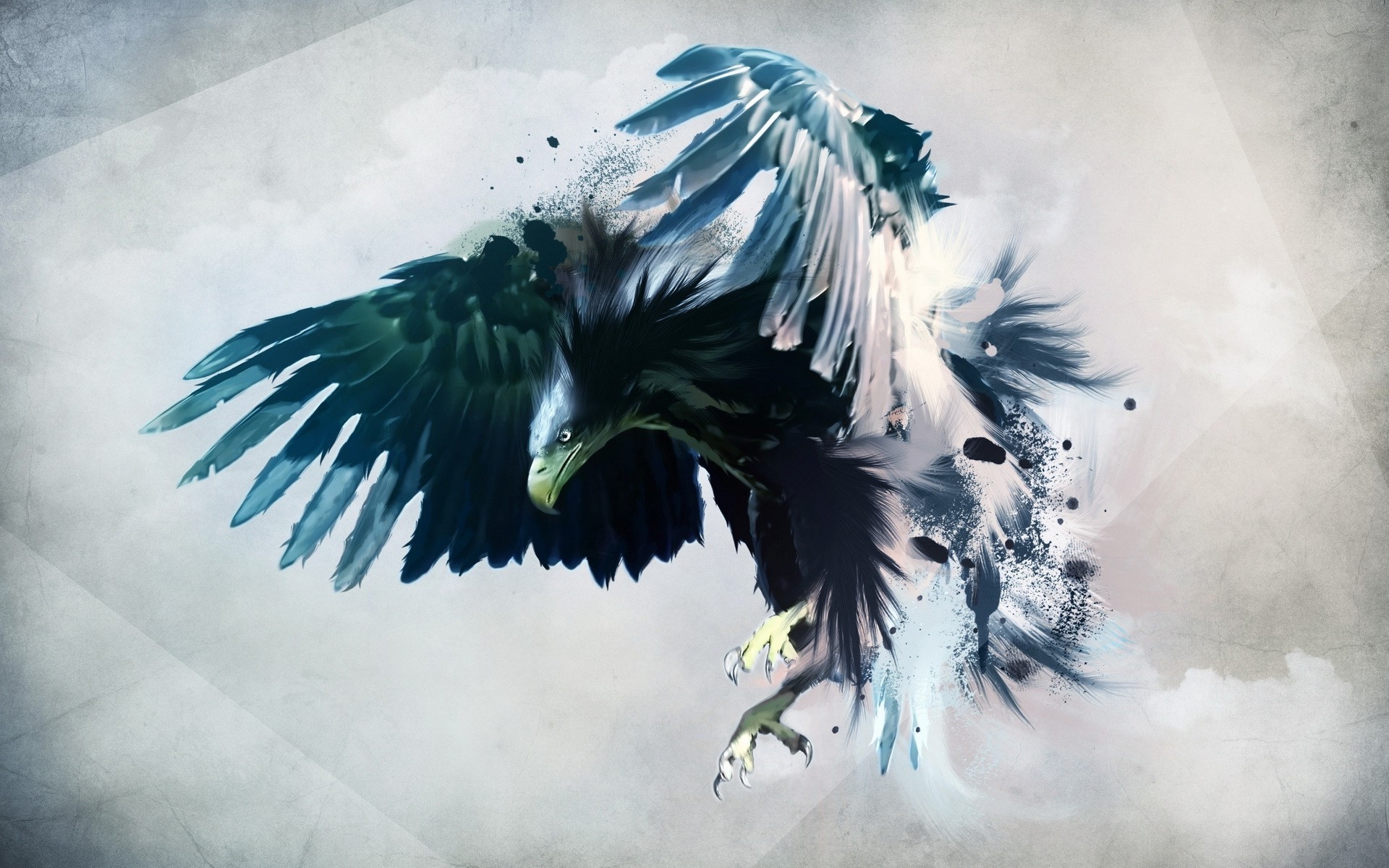 Eagle Wallpapers Images Photos Pictures Backgrounds