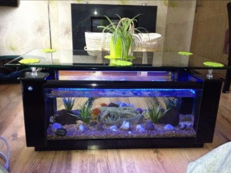 Fish Tank Coffee Table Design Images Photos Pictures