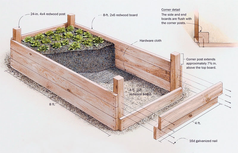 Raised Garden Beds Ideas for Growing Images