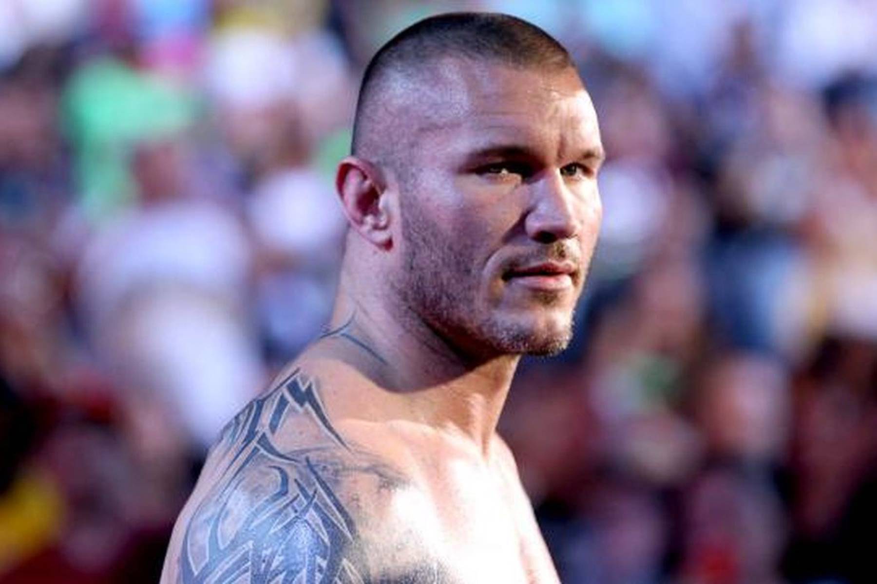 Randy Orton Wallpapers Images Photos Pictures Backgrounds1800 x 1200