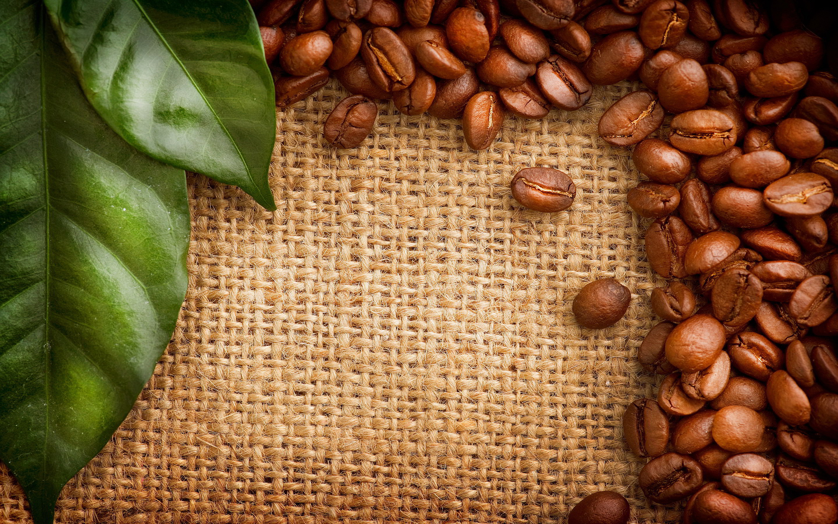 Coffee Beans HD Background