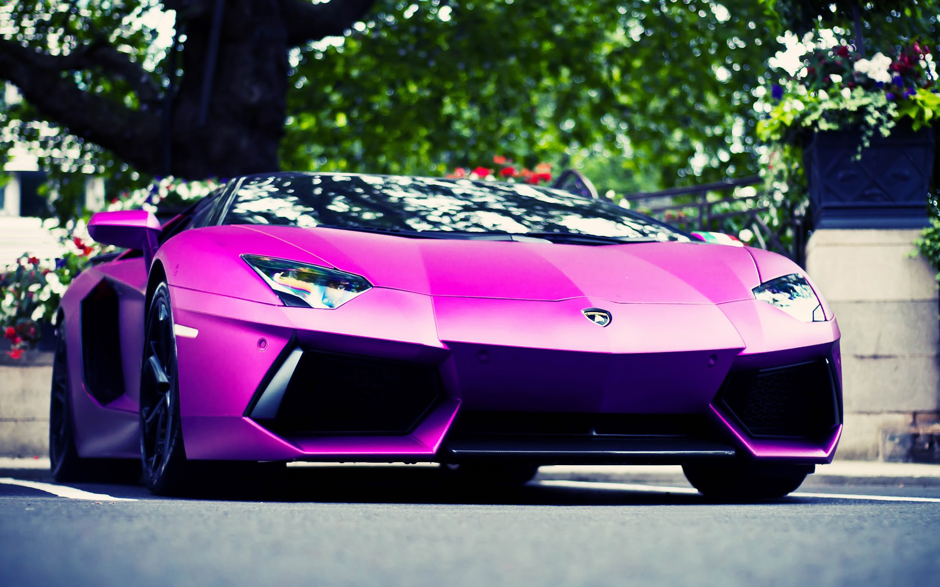 Purple Lamborghini Wallpapers Images Photos Pictures ...