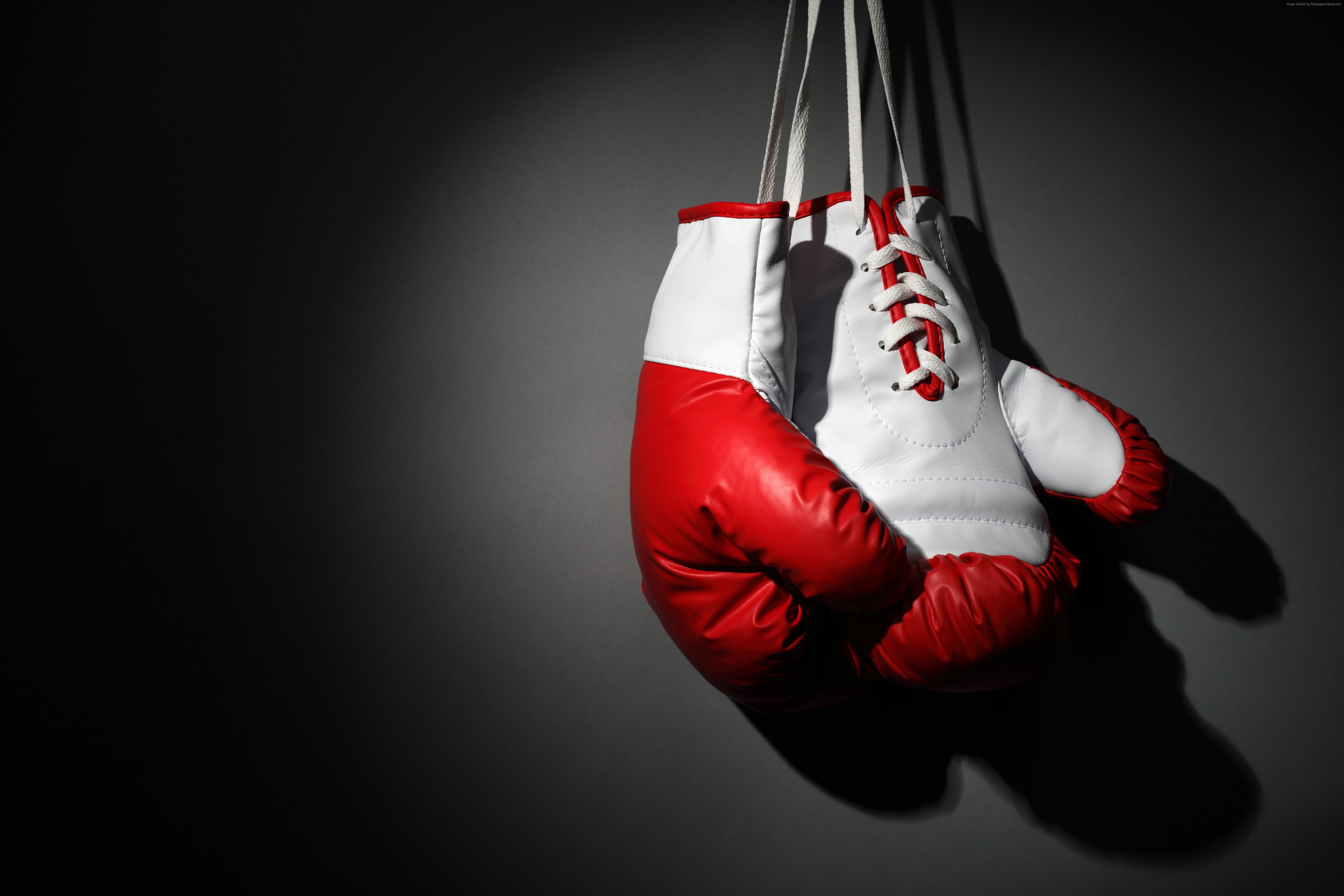 Boxing Gloves Wallpapers Images Photos Pictures Backgrounds