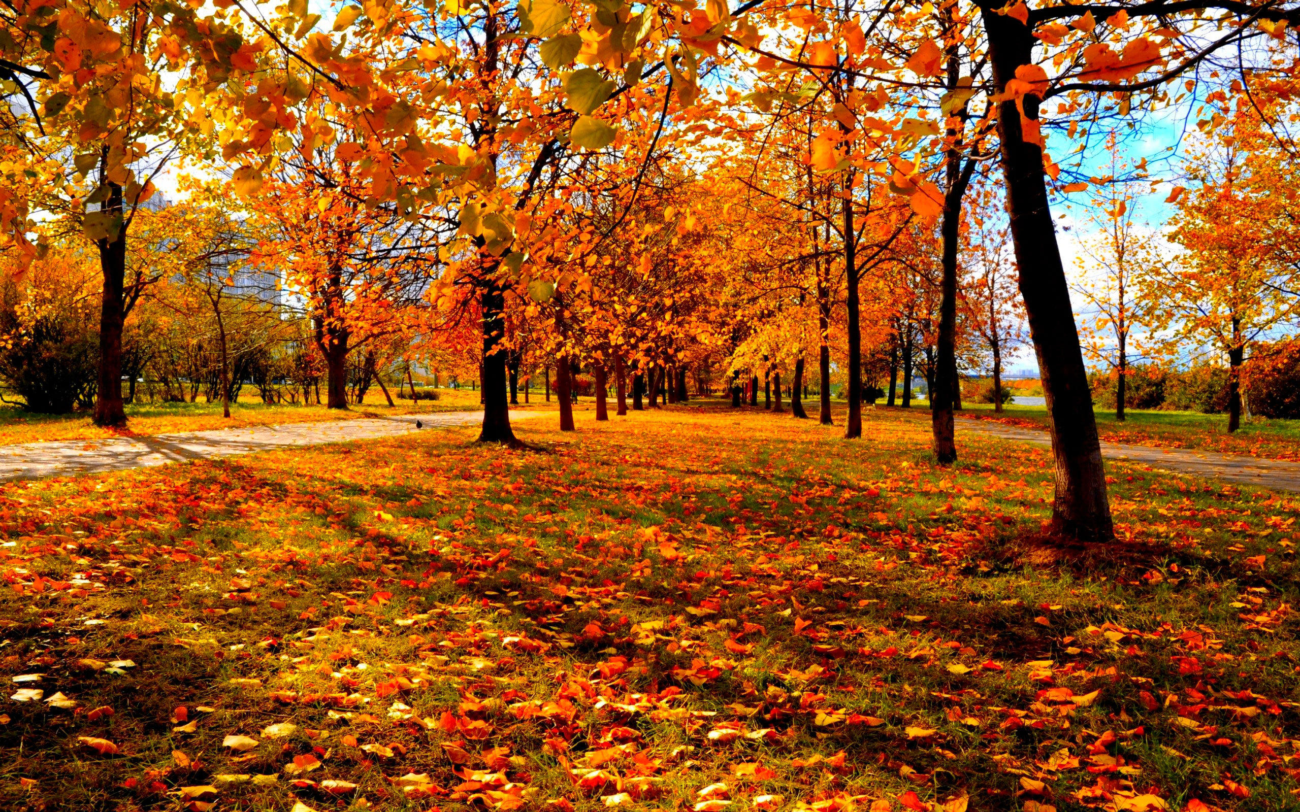 Autumn Wallpapers Images Photos Pictures Backgrounds