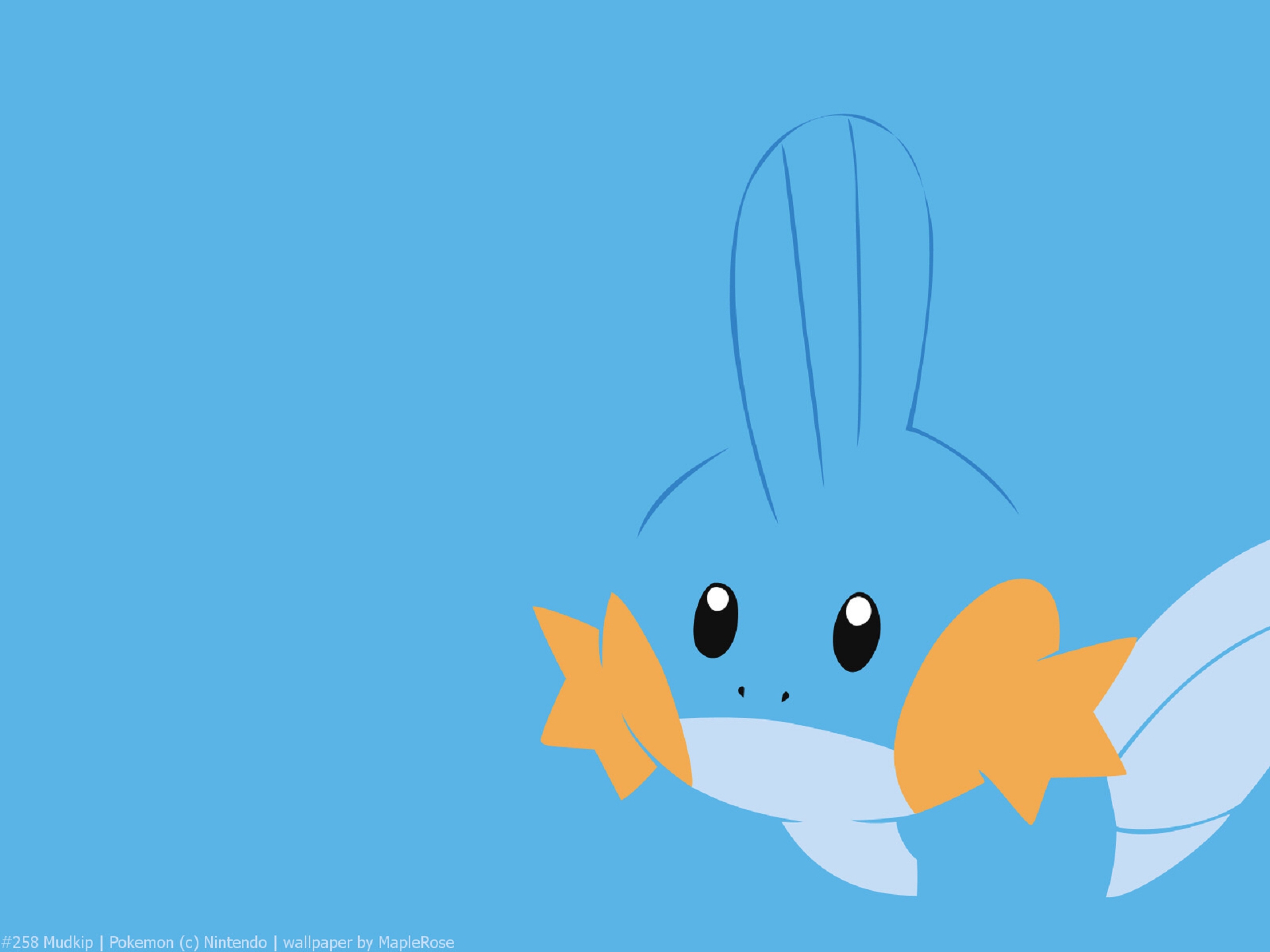 Mudkip Wallpapers Images Photos Pictures Backgrounds HD Wallpapers Download Free Images Wallpaper [wallpaper981.blogspot.com]