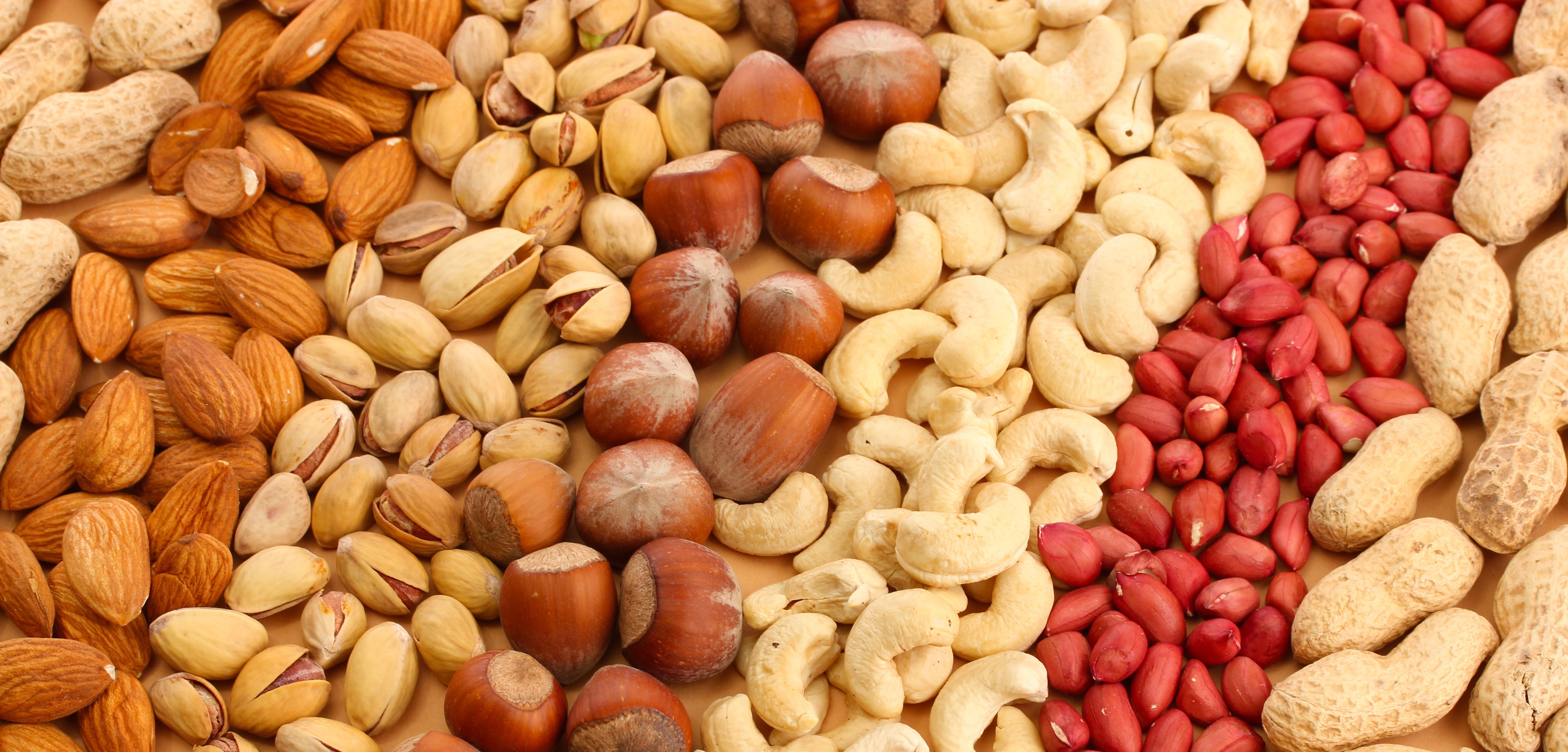 Nuts Wallpapers Images Photos Pictures Backgrounds