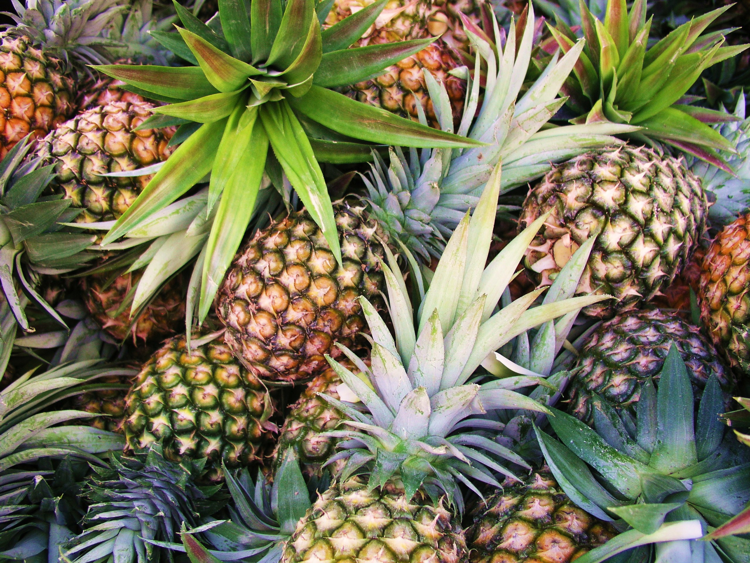 Pineapple Wallpapers Images Photos Pictures Backgrounds