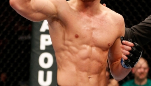 UFC Stockholm 2013: Brimage V McGregor