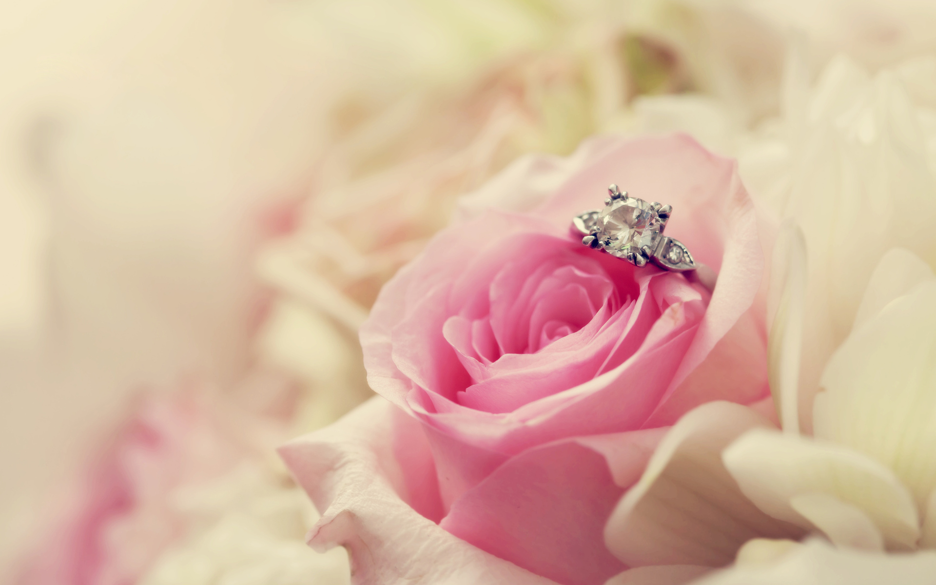 Flower And Ring For Wedding Wallpaper