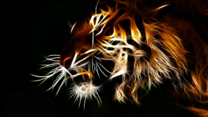 Tiger HD Desktop