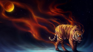Tiger High Definition Wallpapers