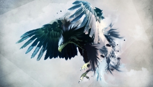 Eagle HD Background