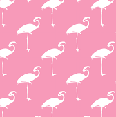 Flamingo Free Download Wallpaper For Mobile