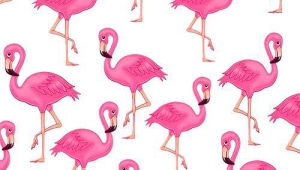 Flamingo HD Iphone