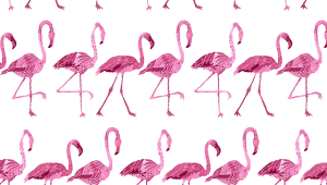 Flamingo Iphone HD Wallpaper