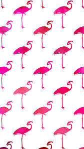 Flamingo Iphone Wallpapers