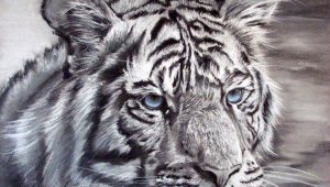 White Tiger High Quality Wallpapers For Iphone