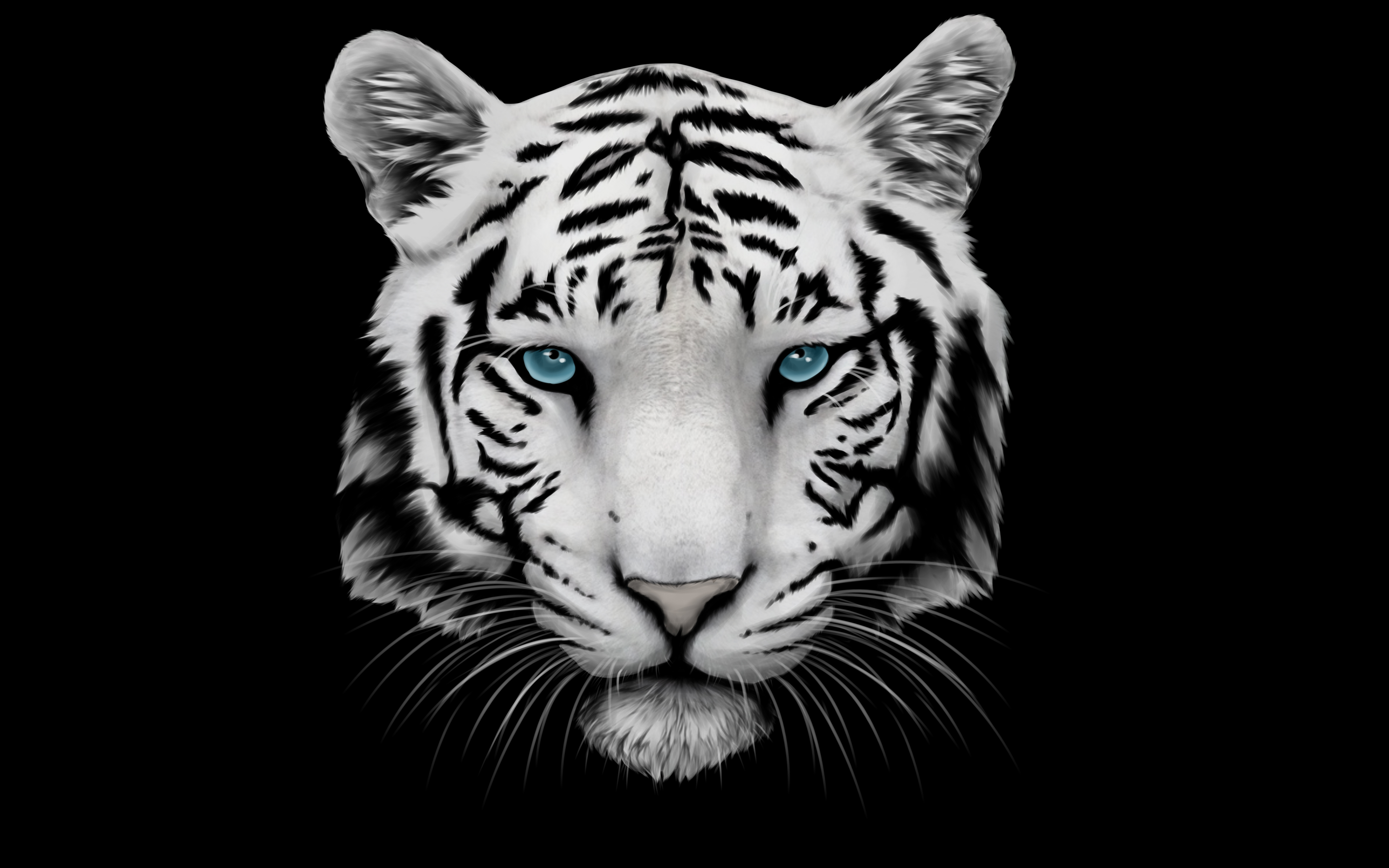 Image result for black and white tiger
