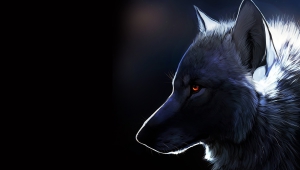 Wolf 4K