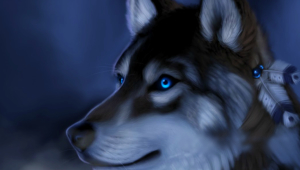 Wolf Eyes Photo