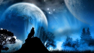 Wolfs Images