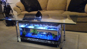 Aquarium Coffee Table With Large Top