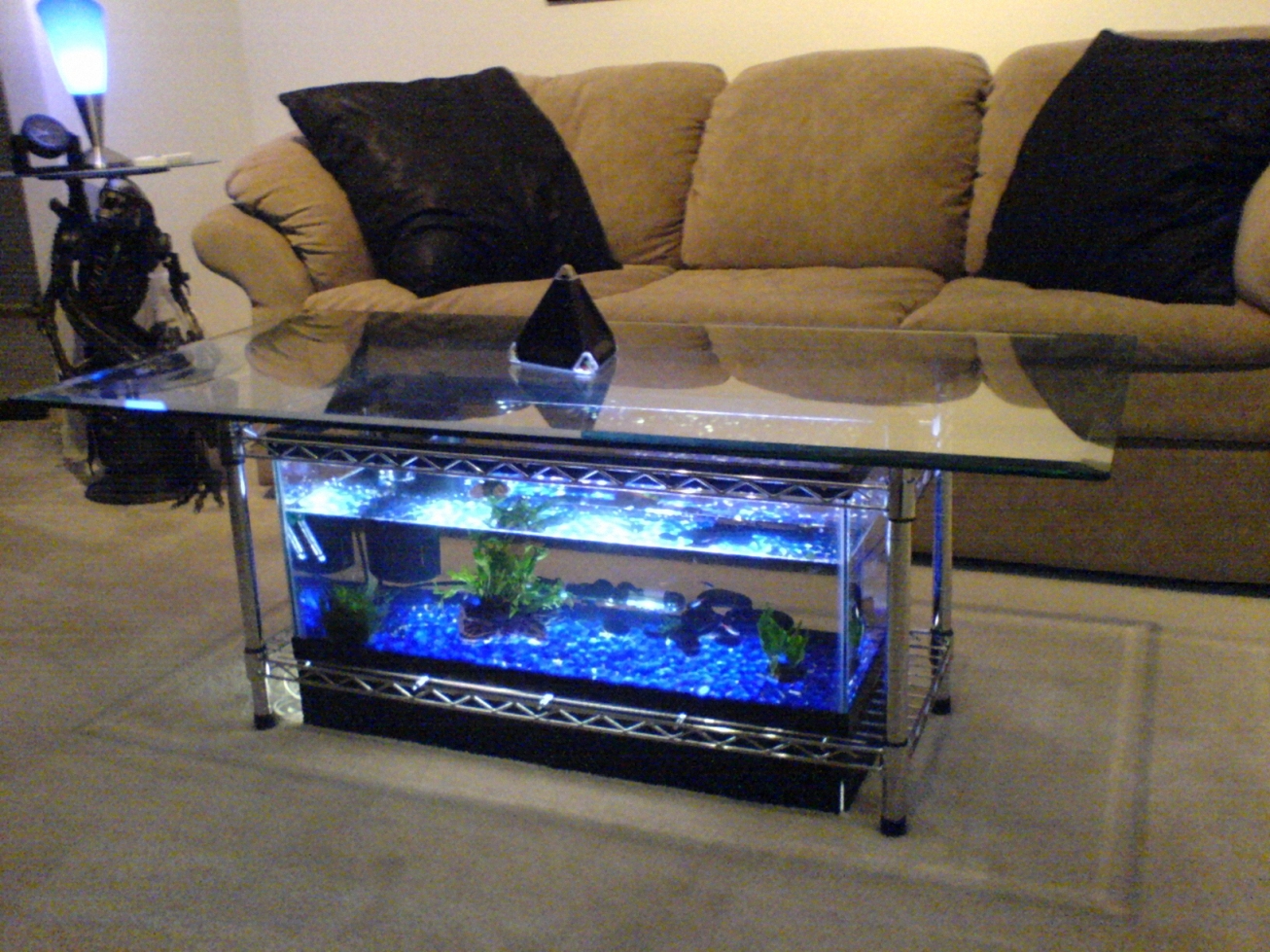 Aquarium Coffee Table With Large Top