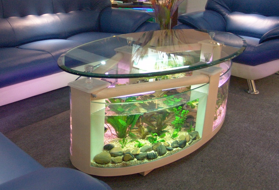 Charming Coffee Table Fish Tank