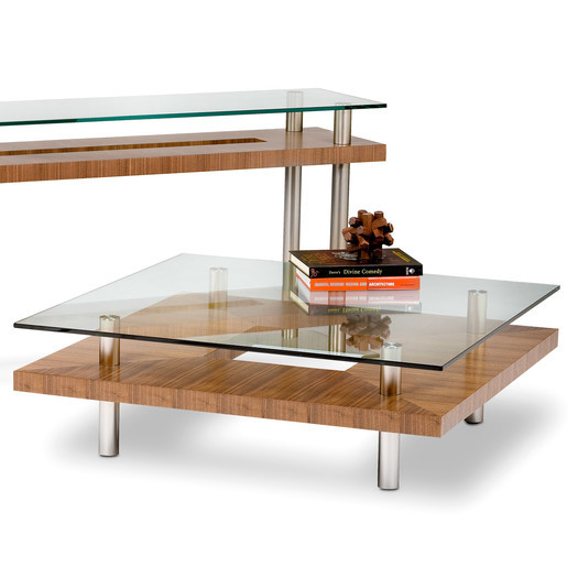 Double Glass And Wood Contemporary Coffee Table