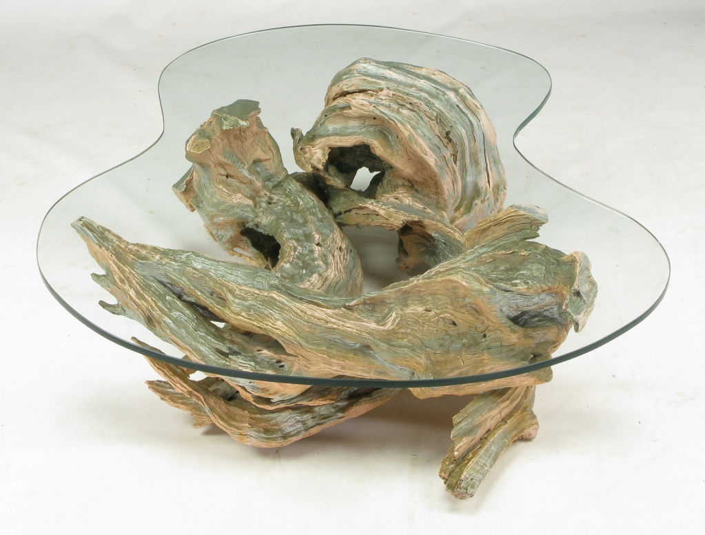 Driftwood Coffee Table With Formed Glass Top