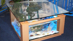 Fish Tank Coffee Table With Mirror Cover