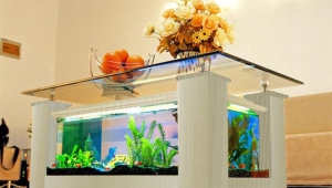 Modern Fish Tank Coffee Table