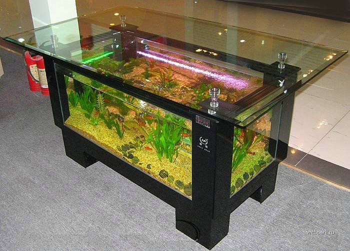 Outstanding Aquarium Coffee Table