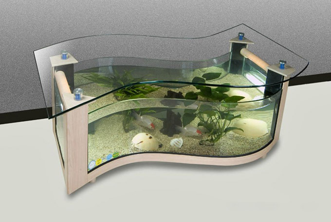 Shaped Aquarium Coffee Table