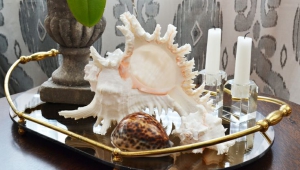 Shell As Coffee Table Accessory