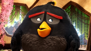 The Angry Birds Movie Walpapers
