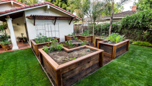 Best Wood For Raised Garden Beds