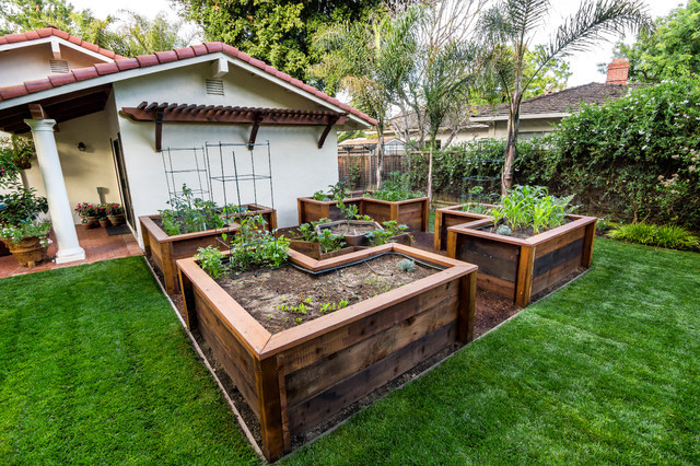 Best Wood For Raised Garden Beds, What Is The Best Type Of Wood For Raised Garden Beds