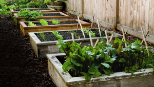 How To Make Raised Garden Beds