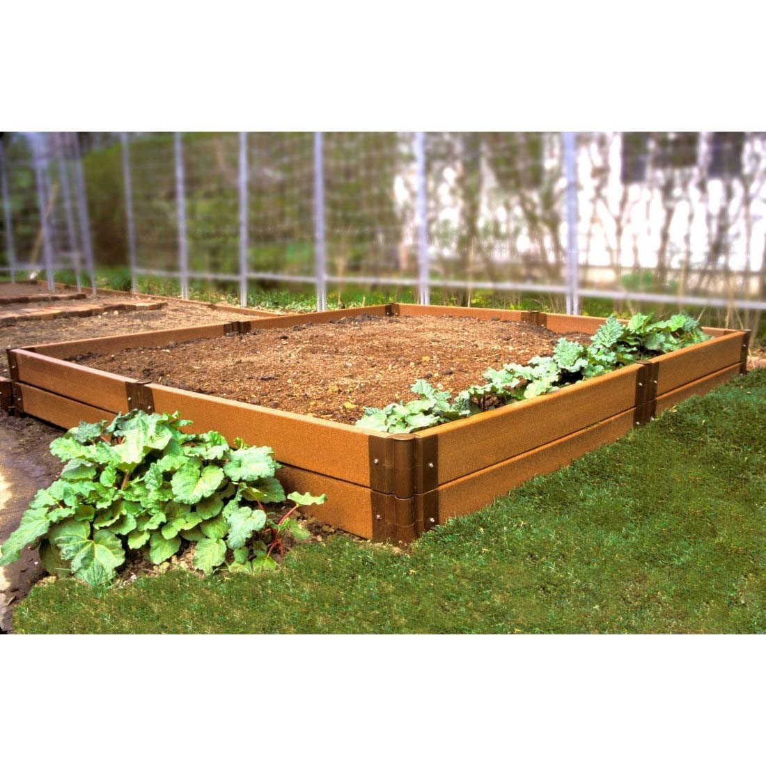 Raised Garden Beds Ideas for Growing Images
