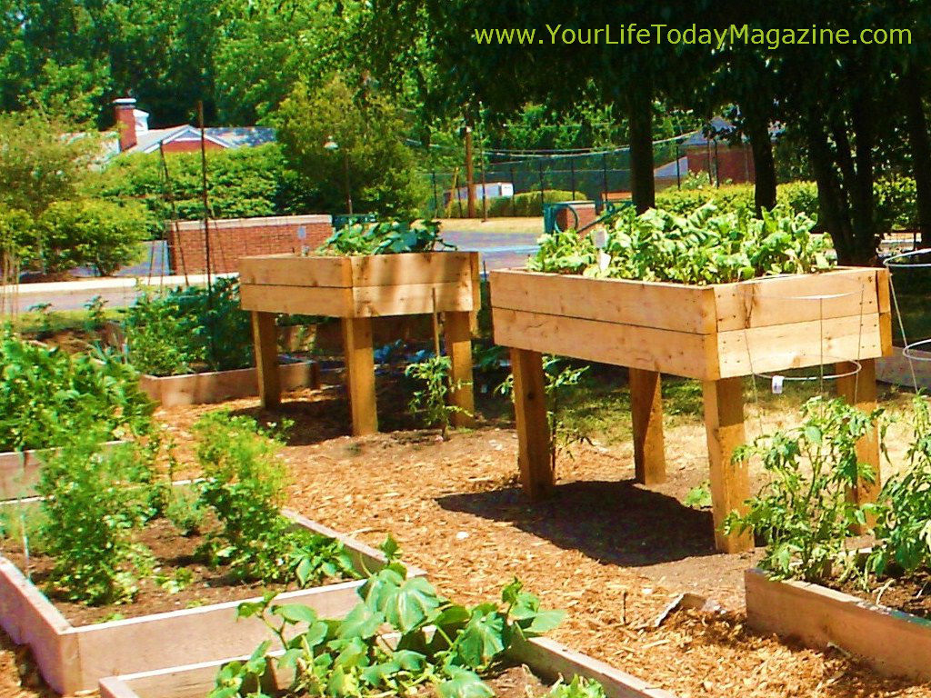 Raised Garden Beds On Legs, Simple Raised Garden Bed With Legs
