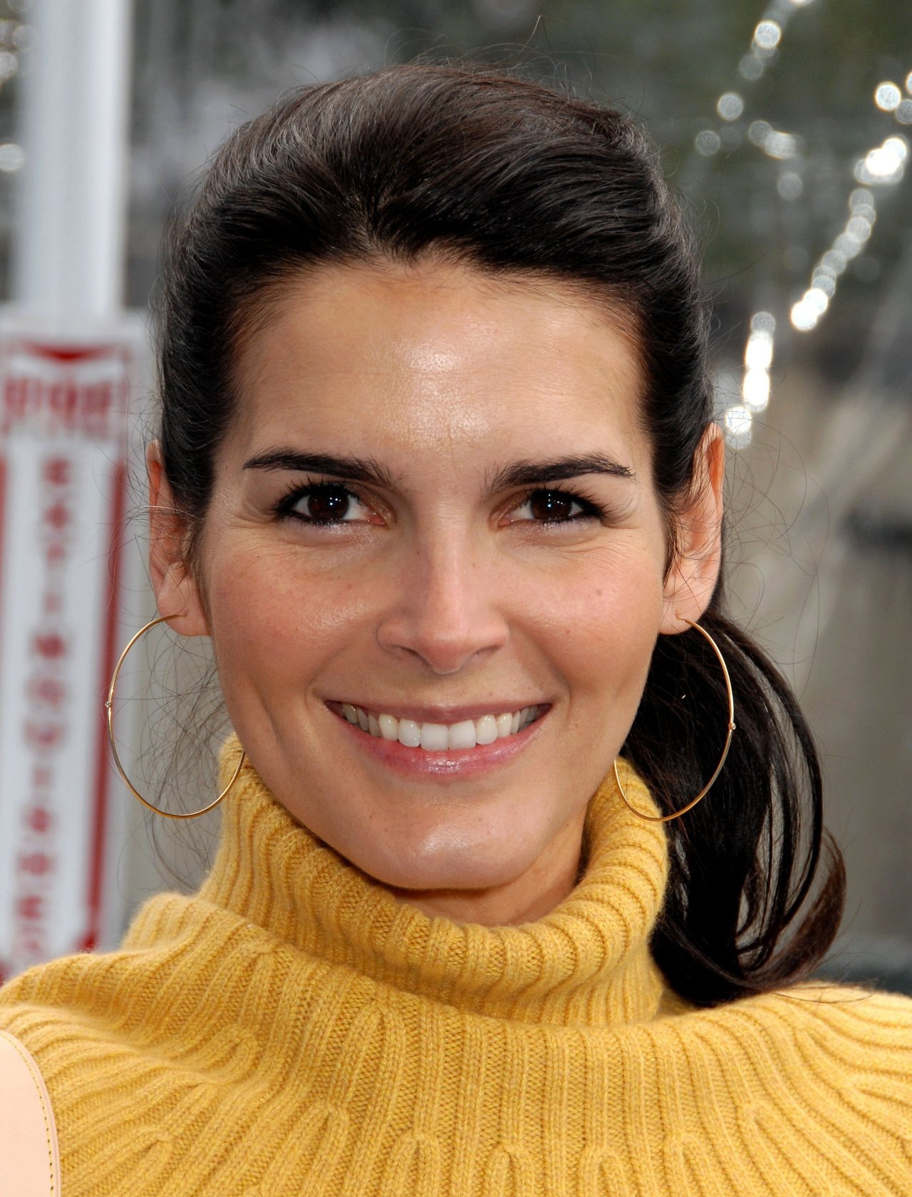 Angie Harmon wallpapers for iPhone, Android.