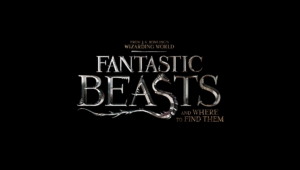 Fantastic Beasts And Where To Find Them Photos