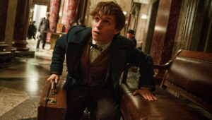 Fantastic Beasts And Where To Find Them Pictures