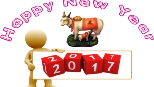 Happy New Year 2017 High Definition Wallpapers