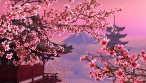 Sakura Images