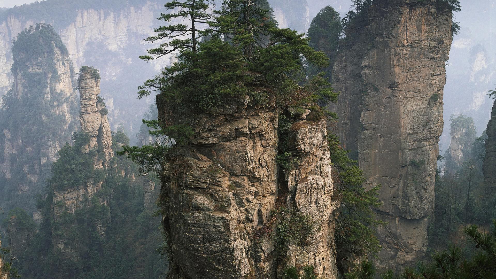 Zhangjiajie National Forest Park (China) Images